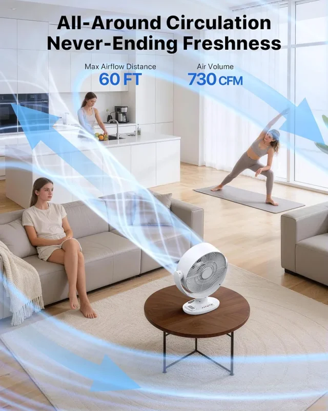AOY D6 rechargeable table fan with remote control